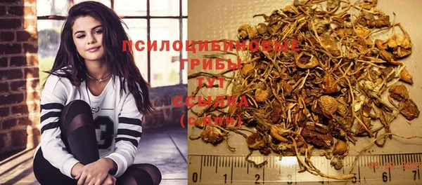 прущие крисы Балабаново
