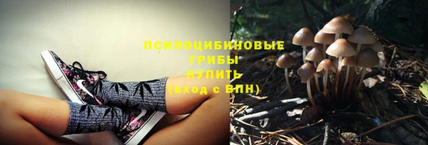 трава Аркадак