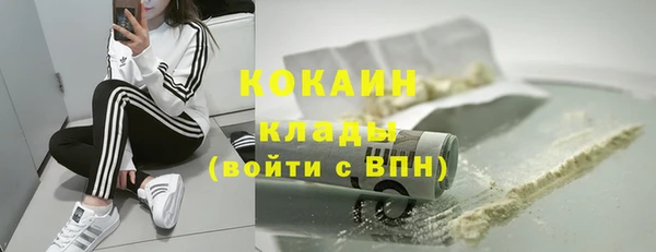 стаф Арсеньев