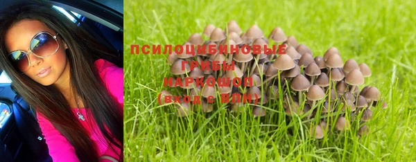 стаф Арсеньев