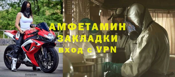 трава Аркадак