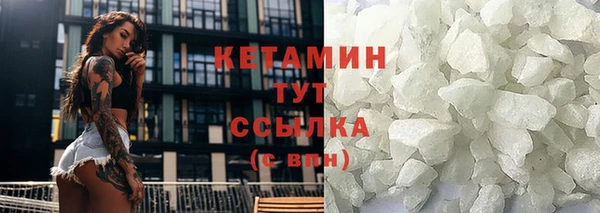 трава Аркадак