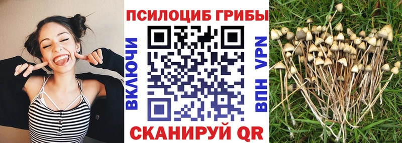 Галлюциногенные грибы GOLDEN TEACHER  Зеленокумск 